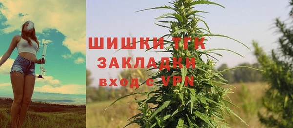 спайс Баксан