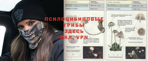 гашик Киреевск