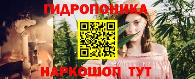 стаф Пенза