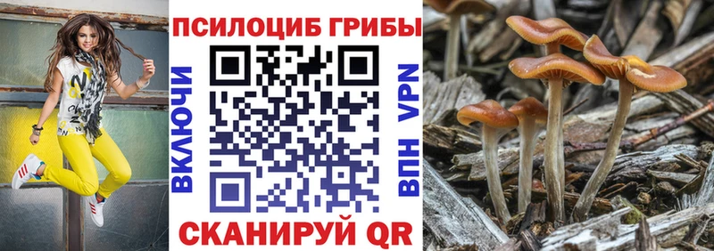 Псилоцибиновые грибы Magic Shrooms  Ульяновск 