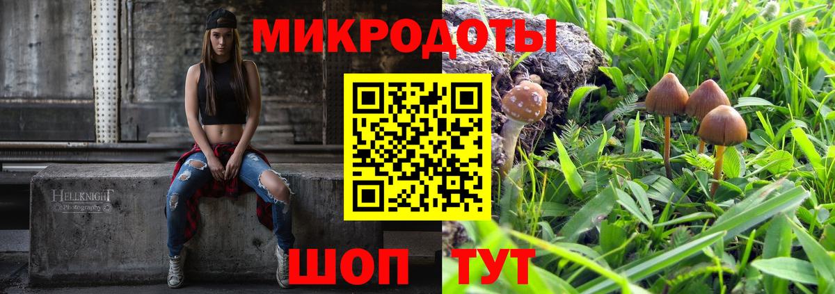 Галлюциногенные грибы Cubensis  Псилоцибиновые грибы Cubensis  Ульяновск  Вход с VPN 