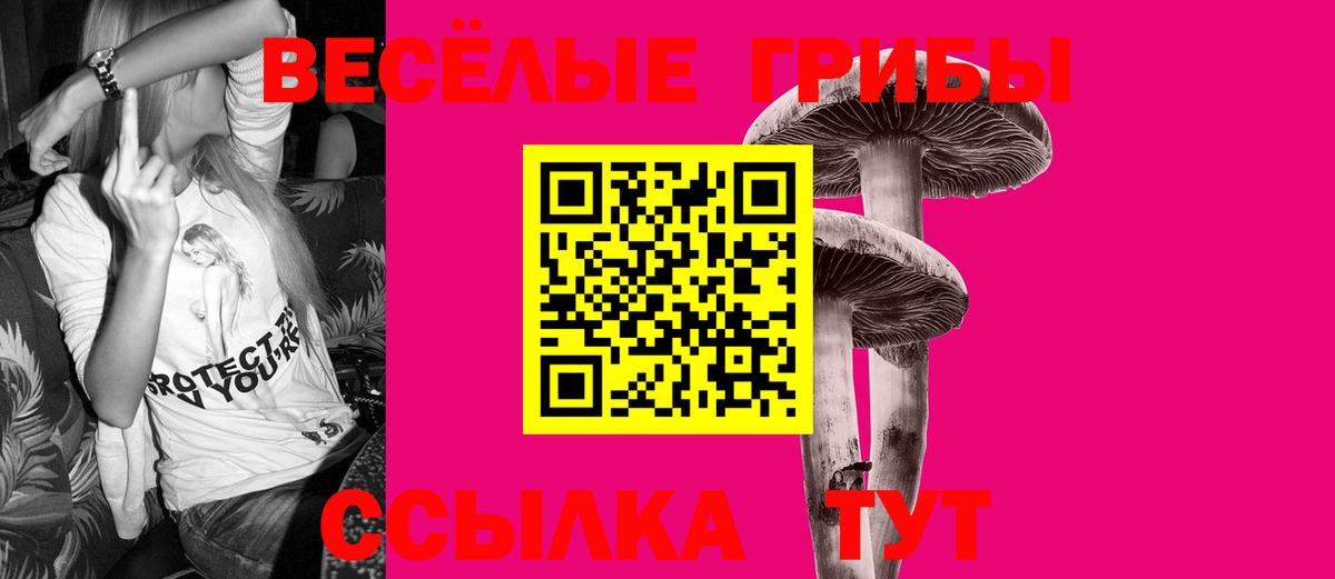 Галлюциногенные грибы Psilocybe Ульяновск